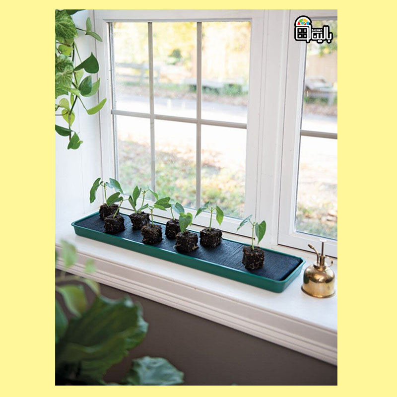پنجره مناسب برای گیاهان